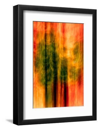Cedars At Night - Black Framed Art Print Wall Art, 8x12 Cedars At Night - Black Framed Art Print Wall Art, 8x12