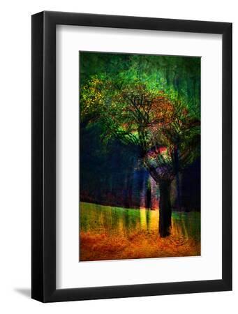 Exuberance 1 - Black Framed Art Print Wall Art, 8x12 Exuberance 1 - Black Framed Art Print Wall Art, 8x12