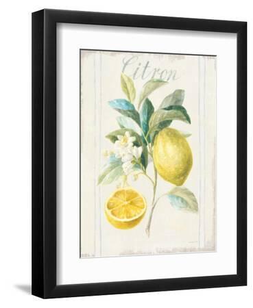 Floursack Lemon IV v2 - Black Framed Art Print Wall Art, 9x12 Floursack Lemon IV v2 - Black Framed Art Print Wall Art, 9x12