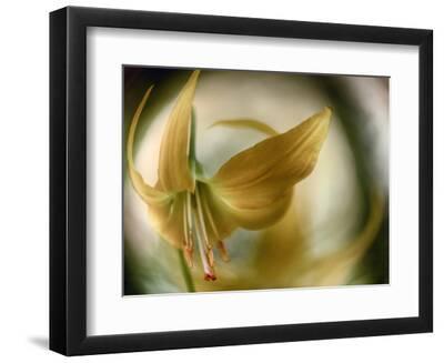 Gold Angel - Black Framed Art Print Wall Art, 12x9 Gold Angel - Black Framed Art Print Wall Art, 12x9