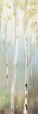 Golden Birch II - Wall Art Print, 12x36
