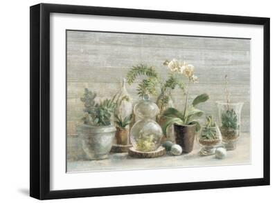 Greenhouse Orchids on Wood - Black Framed Art Print Wall Art, 18x12