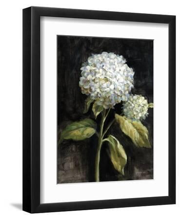 Hydrangea on Black - Black Framed Art Print Wall Art, 9x12 Hydrangea on Black - Black Framed Art Print Wall Art, 9x12
