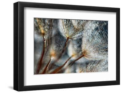 Imagine Seedlings - Black Framed Art Print Wall Art, 12x8 Imagine Seedlings - Black Framed Art Print Wall Art, 12x8