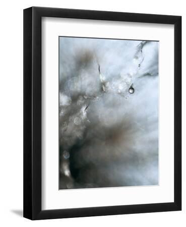 Jewel - Black Framed Art Print Wall Art, 9x12 Jewel - Black Framed Art Print Wall Art, 9x12