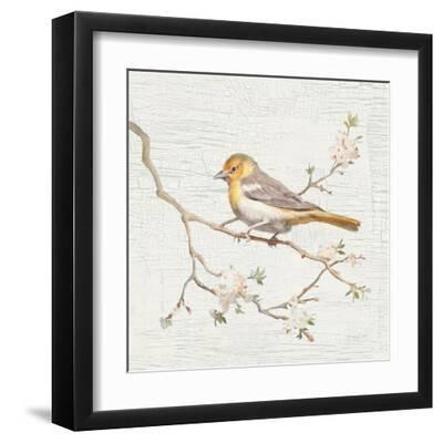 Northern Oriole Vintage - Black Framed Art Print Wall Art, 12x12