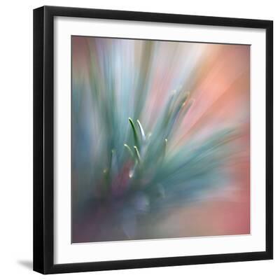 Pine Needles 1 - Black Framed Art Print Wall Art, 16x16