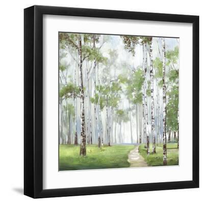 Quiet Path - Black Framed Art Print Wall Art, 12x12