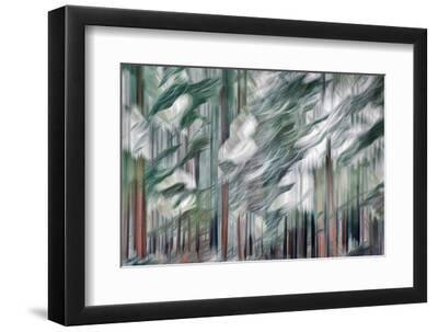 Snow on Cedars - Black Framed Art Print Wall Art, 12x8