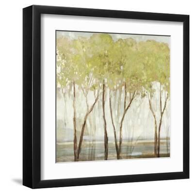 Tall Tree I - Black Framed Art Print Wall Art, 12x12