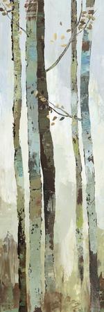 Towering Trees II - Wall Art Print, 12x36