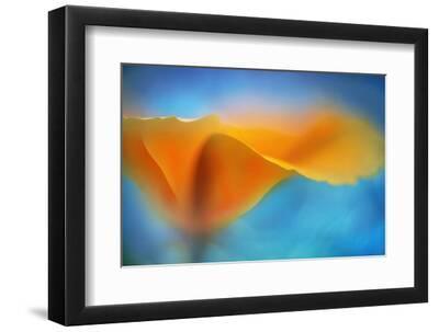 Warmth - Black Framed Art Print Wall Art, 12x8