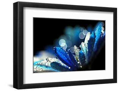 Winter Blues - Black Framed Art Print Wall Art, 12x8